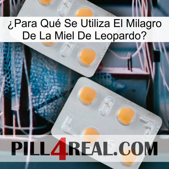 ¿Para Qué Se Utiliza El Milagro De La Miel De Leopardo 25.jpg